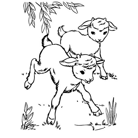Kleurplaat boerderijdieren mooi 178 beste afbeeldingen van. Leuk voor kids - Geitjes dartelen in het gras