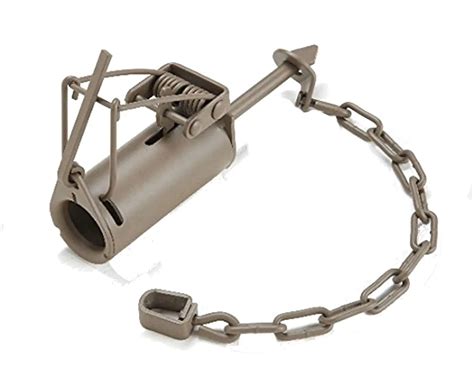 10 Best Dog Proof Traps Reviewed In 2022 Thegearhunt