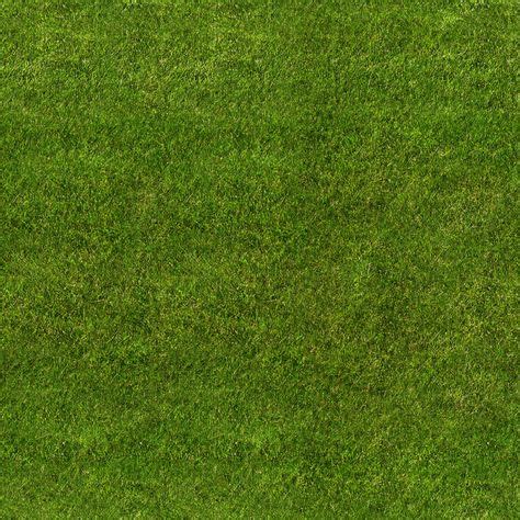 Seamless Golf Green Grass Texture Maps Texturise Texture