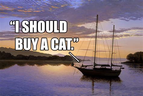 Image 678328 I Should Buy A Boat Cat Know Your Meme