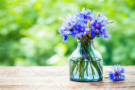 Bouquet Of Blue Cornflower High Quality Nature Stock Photos