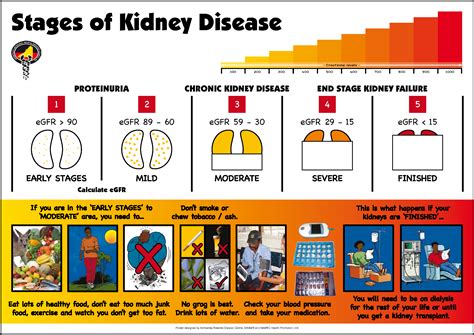 Chronic Kidney Disease Stage 5 Images Galleries