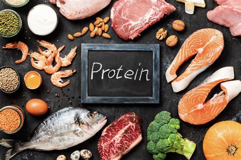 Differenze Tra Proteine Vegetali E Quelli Animali