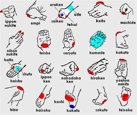 This page provides the english and japanese names for each stance. 41 best karate basics images on Pinterest