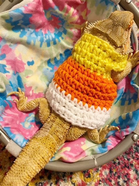 Crocheted Adult Candy Corn Bearded Dragon Costume Bearded Etsy