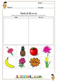 fruits  flowers worksheetsevs worksheetsprintable activity sheets