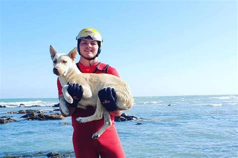 Nsri Hero Rescued Dog Trapped On Rocks During The Rising Tide News