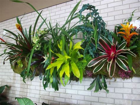 Orchid Wall Planter Wall Design Ideas