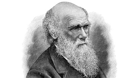 Esta Es La Teoría De Darwin Explicada En Cinco Claves