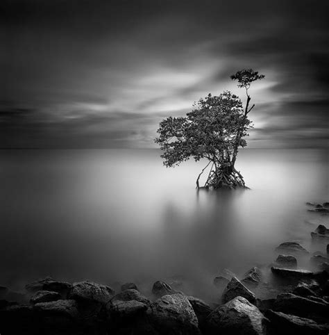 Photo By Wills Black And White Landscape White Photography Exposure