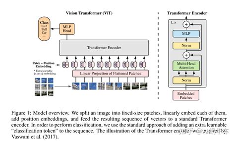 Pytorch Code Vision Transformer Apply Vit Models Pre Trained And Fine My XXX Hot Girl