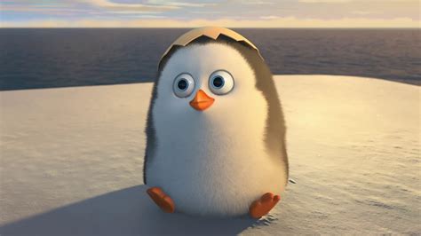 Maybe you would like to learn more about one of these? Cute Penguin Backgrounds (48+ pictures)
