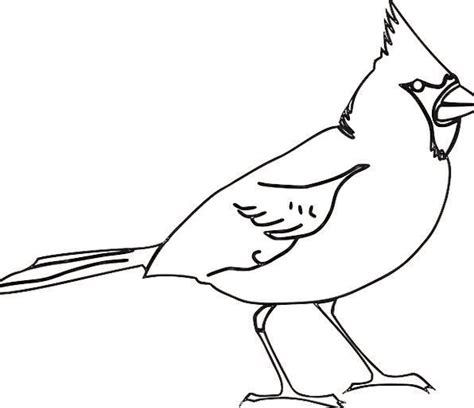 Basic Bird Drawing Free Download On Clipartmag