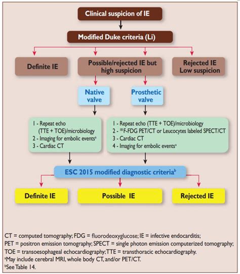 2015 Esc Guidelines For The Management Of Infective Endocarditis