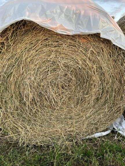 75 First Cutting Pure Alfalfa 4x5 Net Wrap Round Bales No Weeds