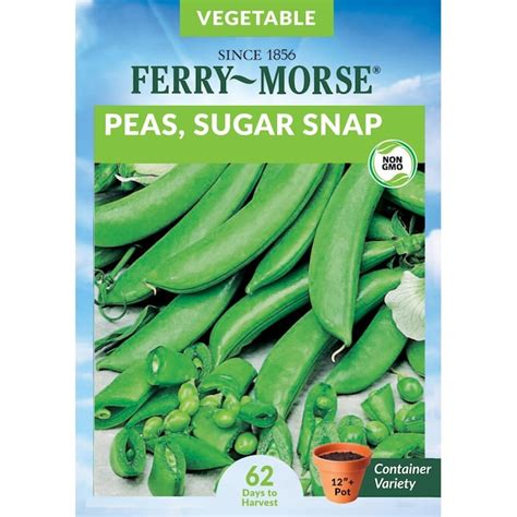 Ferry Morse 25 Gram Pea Sugar Snap Edible Pod Vegetable Seed Packet