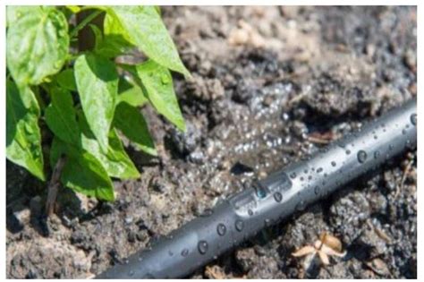 Free, almost unused roll of irrigation repair tape. Irrigation Drip Tape Pipes and fittings Irrigation for ...