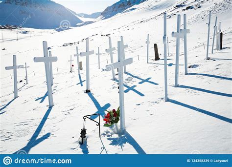 Old Cemetery White Crosses In Snowy Sunny Weather Stock Image Image