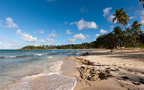 Best Beaches In The Dominican Republic Beach Holidays