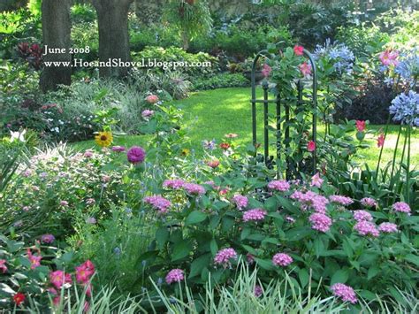 Good for mesic hammock areas or banks of ponds. Image result for shade gardening fl | Florida gardening ...