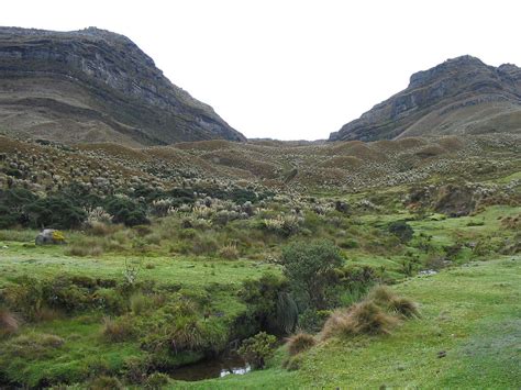 El jardín de la máquina. paramo — Wiktionnaire