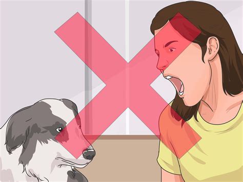 3 Ways To Communicate With Animals Wikihow