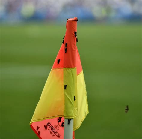 Superstar cristiano ronaldo musste früh verletzt runter. EM 2016 Finale - Mottenplage im Stade de France vor ...