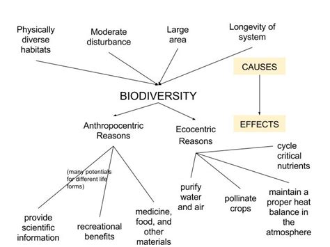 Module 10 Biodiversity Geog 30 Our Perspectives