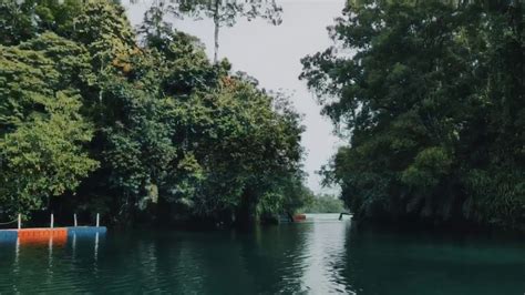 Biduk biduk, kabupaten berau, kalimantan timur 77373 danau labuan cermin daftar baca cepat »»» buka danau labuan cermin apa saja yang ada … Labuan Cermin - Biduk Biduk Kalimantan Timur - YouTube