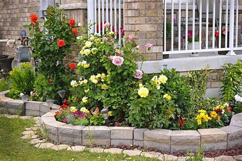 33 Gorgeous Rose Garden Ideas Photo Inspiration