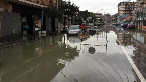 Quand j'ai vécu mon premier brâme du cerf, quelle émotion ce fût, aujourd'hui je ne raterais ça pour rien au monde. L'Italie Aujourd'hui : Après La Neige Et La Pluie, Des ...