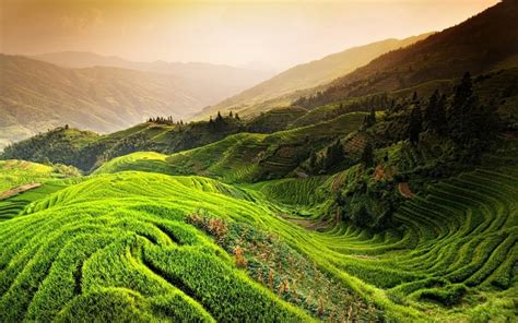 Trees Landscape Mountains China Hill Nature Field Green Mist