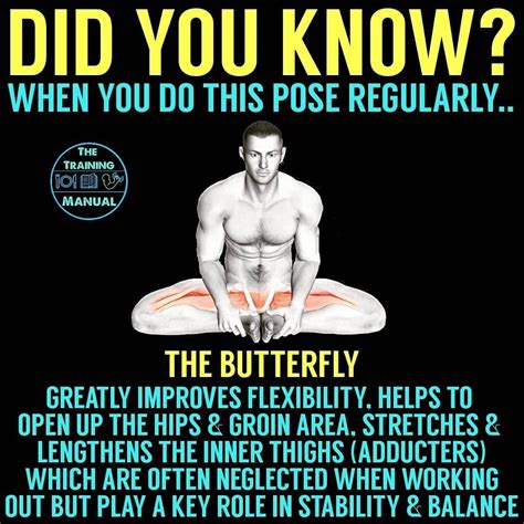 The Butterfly Stretch Is A Seated Groin And Inner Thigh Stretch That