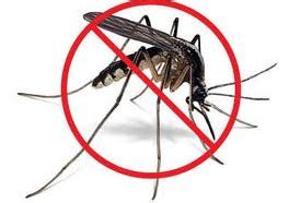 Pests can wreak all sorts of havoc while checking out your overland park, ks property, which is something that an exterminator at our. Bye Pesky Pests! Pest Control in Overland Park KS | Aspen ...