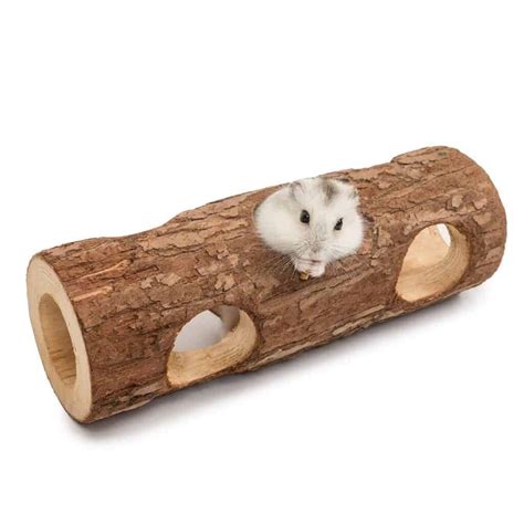Best Accessories For Hamster Cage Pet Lifey