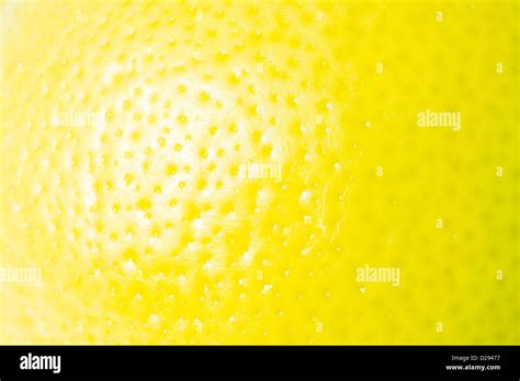 Skin Of Yellow Citron Stock Photo Alamy