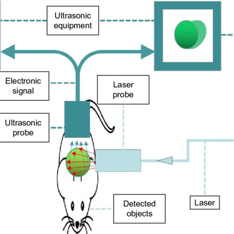 Pdf Biomedical Photoacoustics Fundamentals Instrumentation And