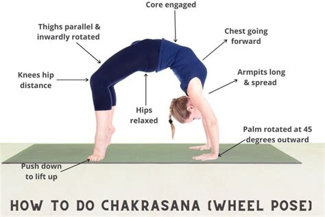 Chakrasana Wheel Pose How To Do Steps And Benefits Fitsri Yoga