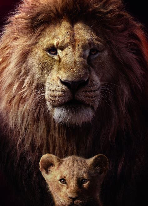 the lion king 2019 wallpaper