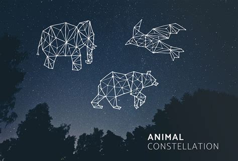 3 Animal Constellation Illustrations On Behance