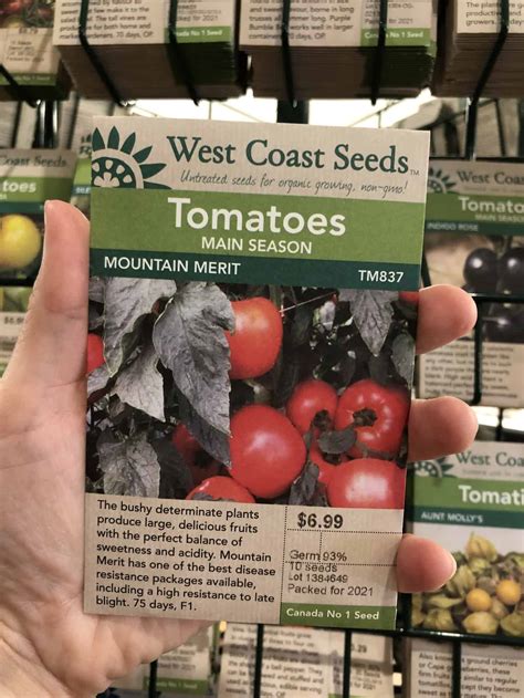 Determinate Tomatoes 🍅🌱 Discover Varieties Perfect For Compact Spaces