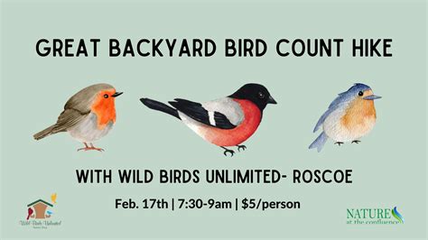 Great Backyard Bird Count Hike Rescheduled Nature At The Confluence