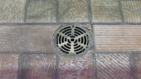 Maybe you would like to learn more about one of these? Why is My Basement Drain Backing Up? | Peak Sewer ...