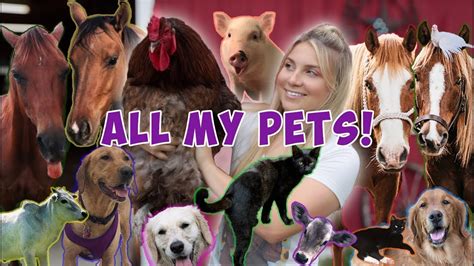 Meet All My Pets 59 Pets Youtube