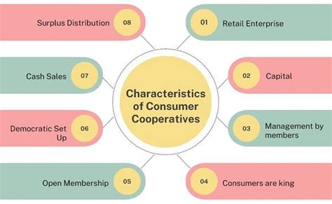 What Are Consumer Cooperatives Examples Business Jargons