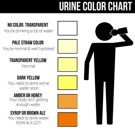 Mrs Pip Urine Color Chart What Color Is Normal What Does It Mean