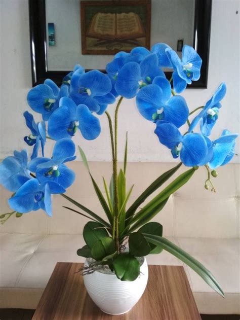Jenis khodam nyai peri tunjung biru putri. 44+ Bunga Violet Biru