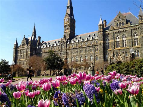 Georgetown University Online Degree Program Partnership | 2U