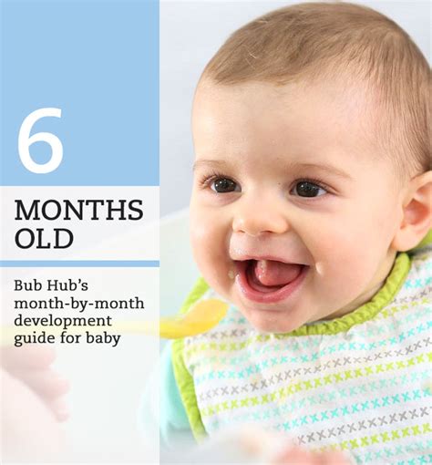 What Should My 6 Month Old Baby Be Doing 6 7 Month