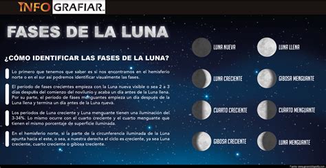 Fases De La Luna Infografiar